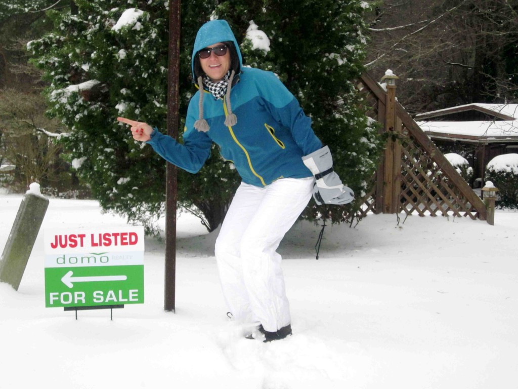 domo Realty JUST LISTED Atlanta Modern Real Estate