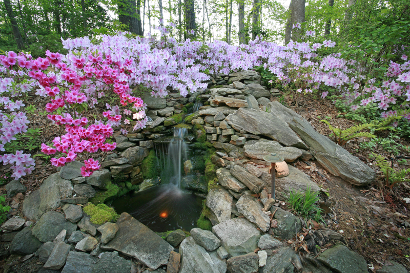 Atlanta water gardens
