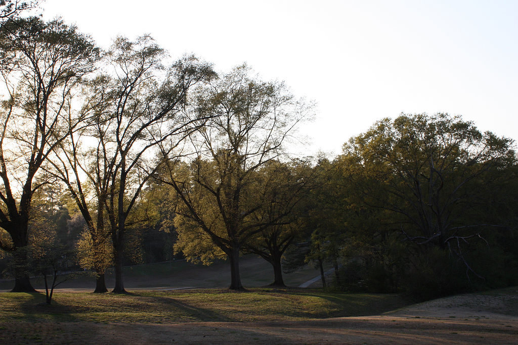 Chastain Park