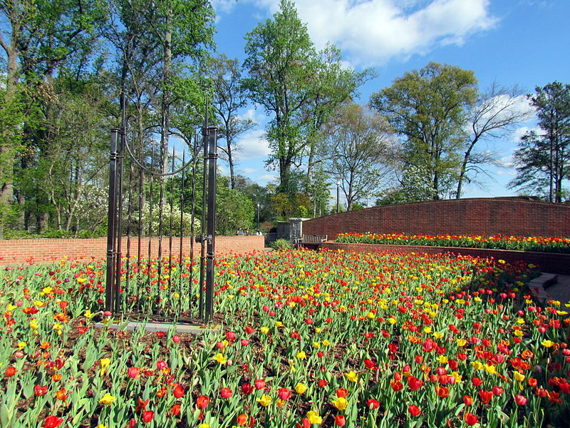 Atlanta Botanical Garden