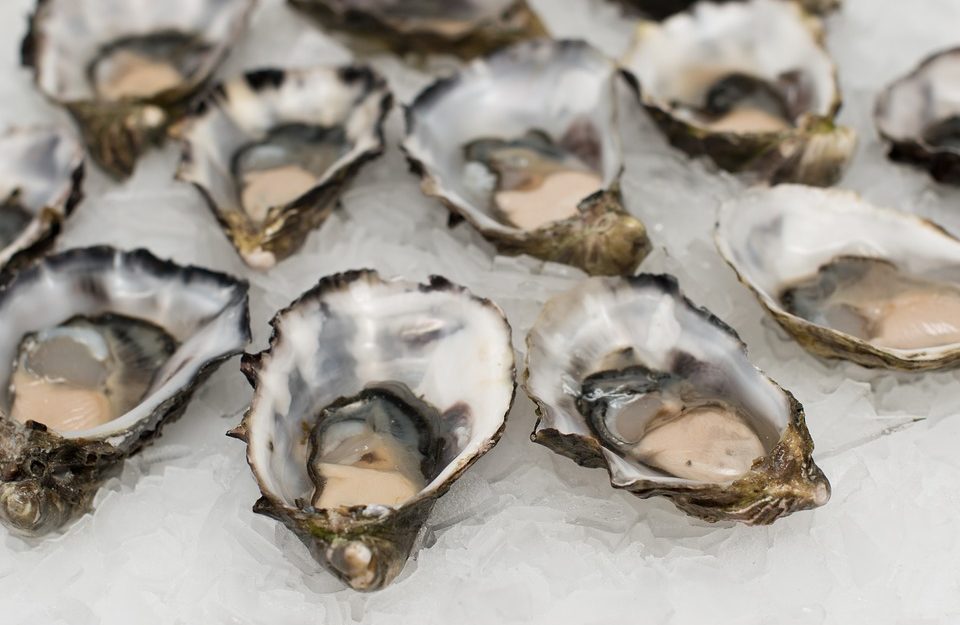 Top Spots in Atlanta for Oysters Top Spots in Atlanta for Oysters