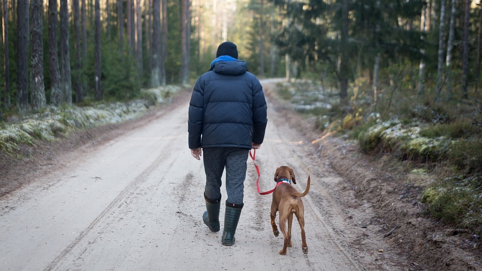 Top Dog-Friendly Trails Throughout Atlanta Top Dog-Friendly Trails Throughout Atlanta
