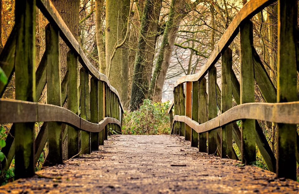Top Hiking Trails Near Atlanta Top Hiking Trails Near Atlanta