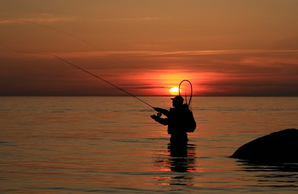 Top Trout Fishing Options in North Georgia Top Trout Fishing Options in North Georgia
