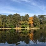 Discover the Charm of Echo Lake: A Hidden Gem in Atlanta, GA